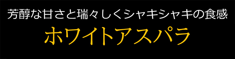 ホワイトアスパラ