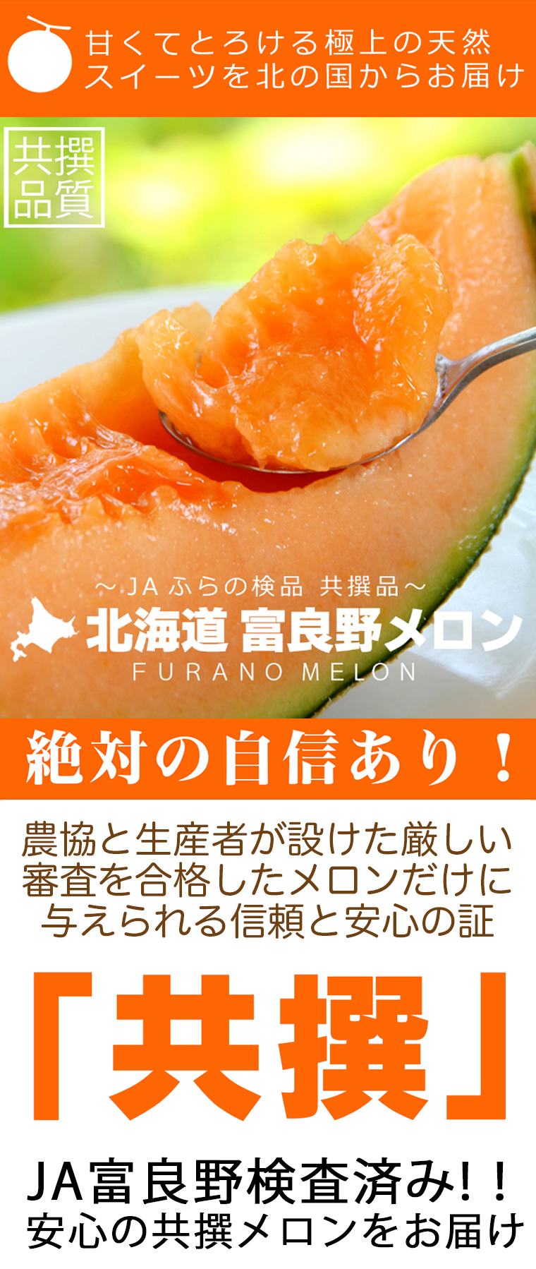 お中元 メロン 北海道 富良野メロン(共撰 秀品 約2.0kg×2玉) / ギフト