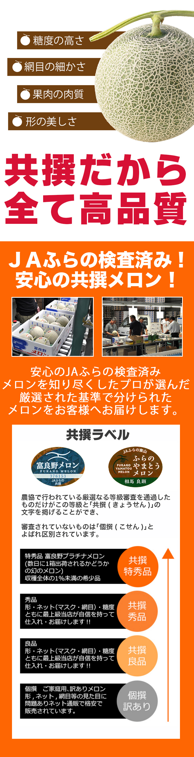 予約受付中 訳あり 富良野メロン 共撰 2玉入 2.6kg以上 / 北海道産 ふらのメロン フルーツ 果物 自宅用 訳アリ 産地直送[wakem]  :sg-furanomellon-2tama3kgover:ギフトグルメ北海道 - 通販 - Yahoo!ショッピング