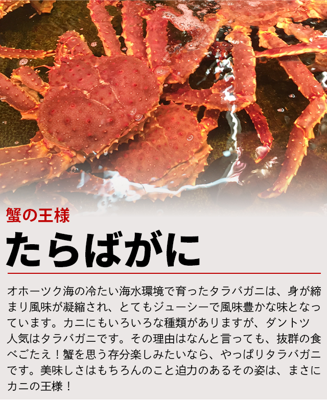 お歳暮 2024 ギフト かに 数量限定 送料無料 北海道産(オホーツク海)ちょっと訳有り タラバ蟹姿(堅蟹・2.6kg前後) / タラバガニ  たらばがに 蟹 かに 訳あり : sg-104-taraba-2600-wake : ギフト&グルメ北海道 - 通販 - Yahoo!ショッピング