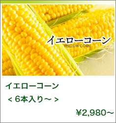 北海道赤肉メロン