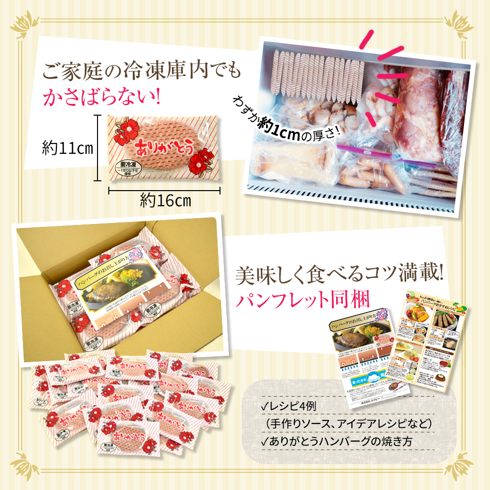 パンフレット同梱