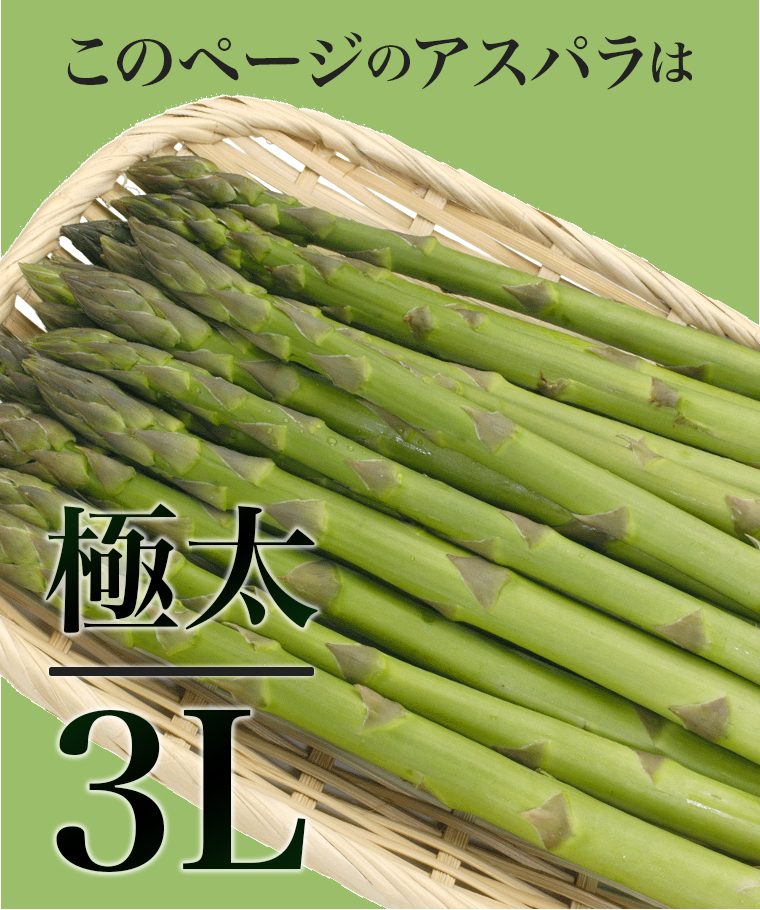 アスパラ　3キロ　アスパラガス Amazon.co.jp: 北海道産 グリーンアスパラガス 3kg (L-2Lサイズ