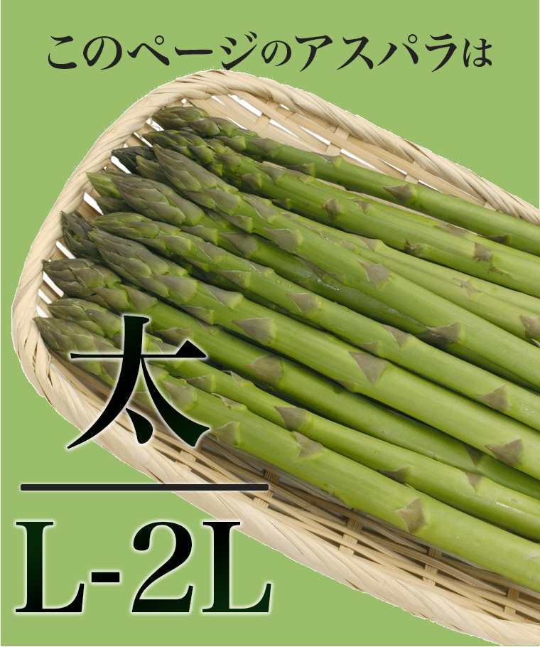 グリーン2L