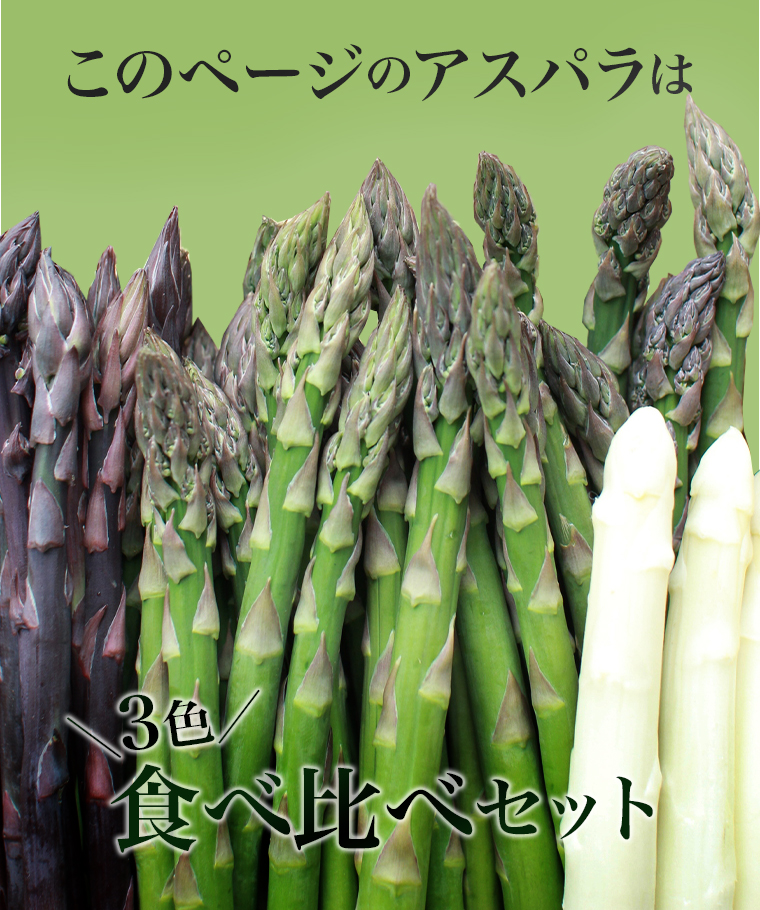 グリーン・ホワイト・パープル
