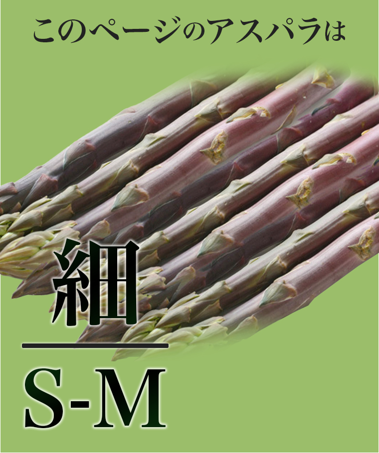 パープルsm