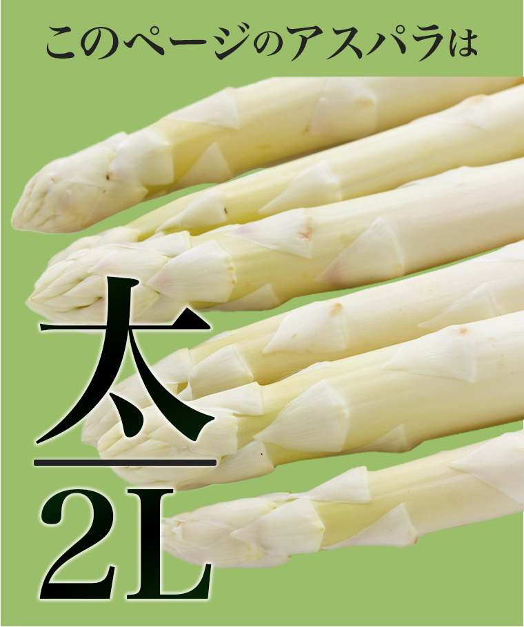 ホワイト2L