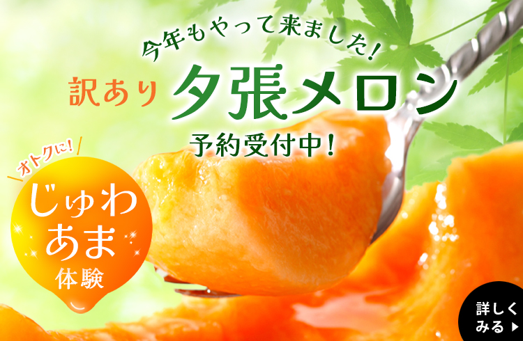 訳あり夕張メロン
