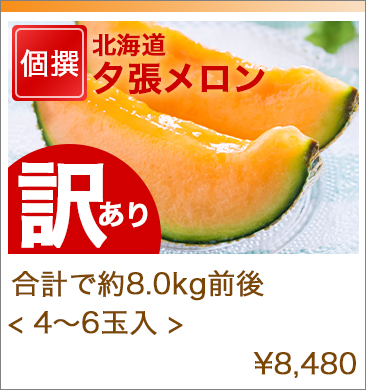 SHIROKUMAメロン