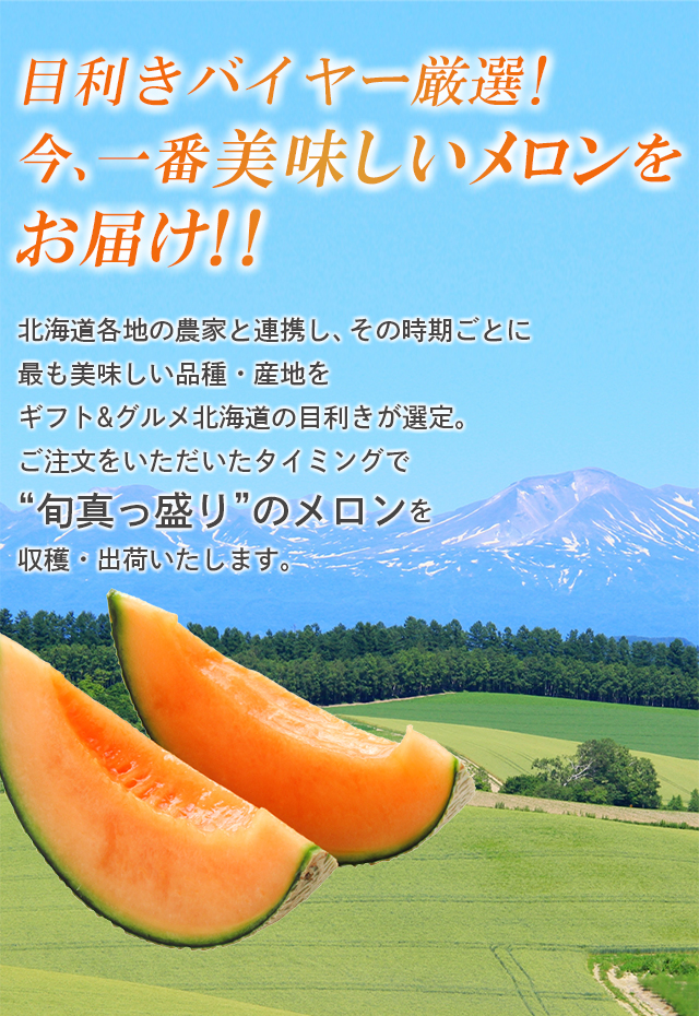 バイヤー厳選