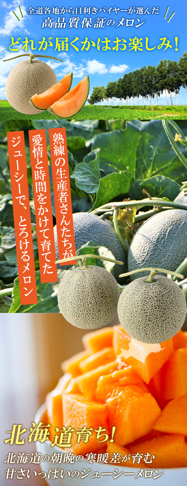 お楽しみ