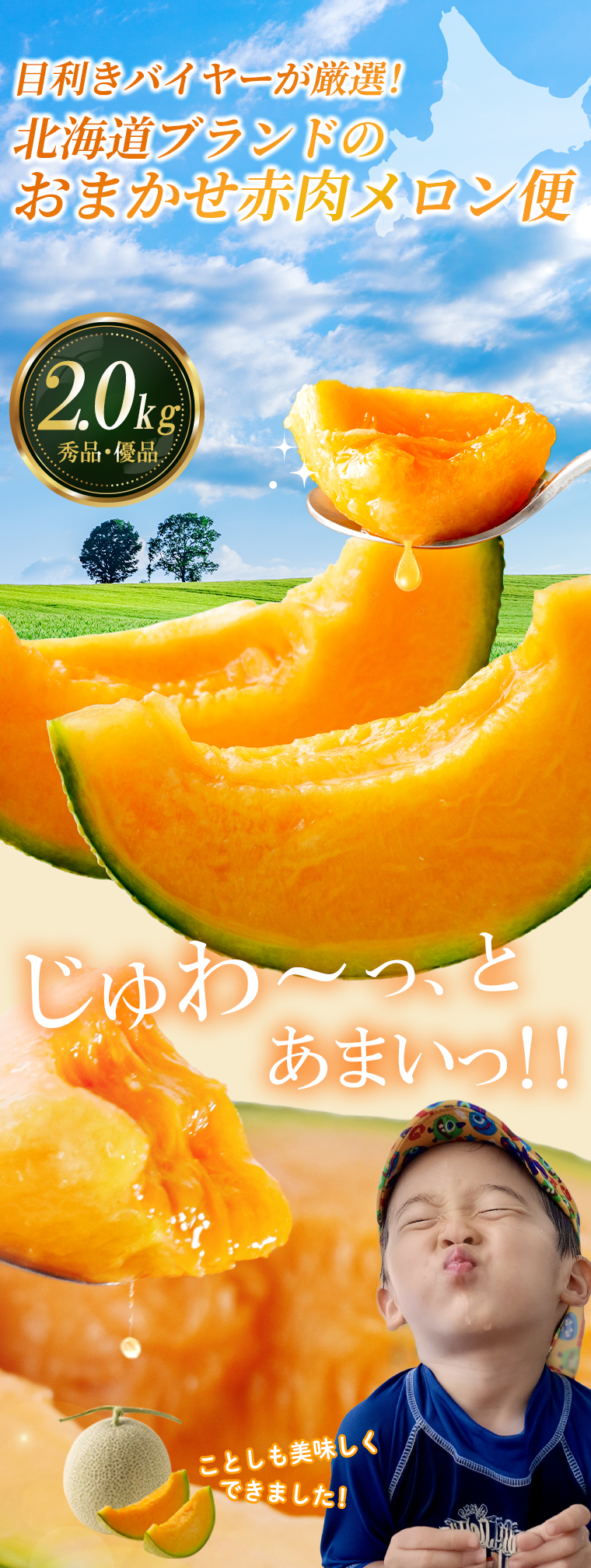 メロン 北海道 めろん 北海道メロン 目利きバイヤーにおまかせ 北海道