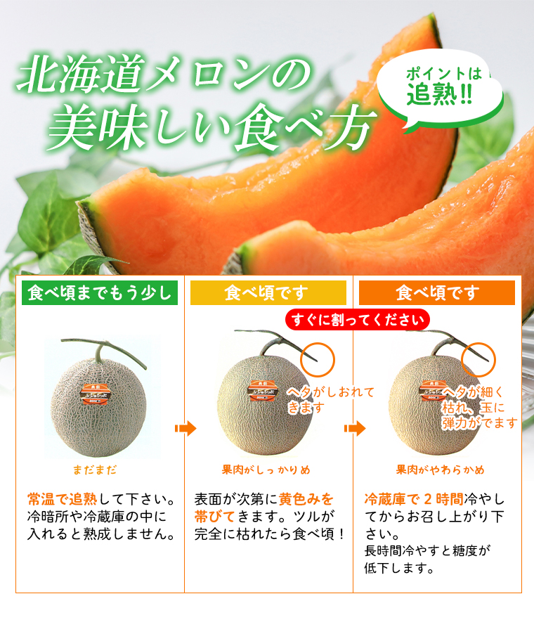 【メロン※29日まで】 楽天市場】倉庫入れ替えのため訳あり アウトレット 在庫処分