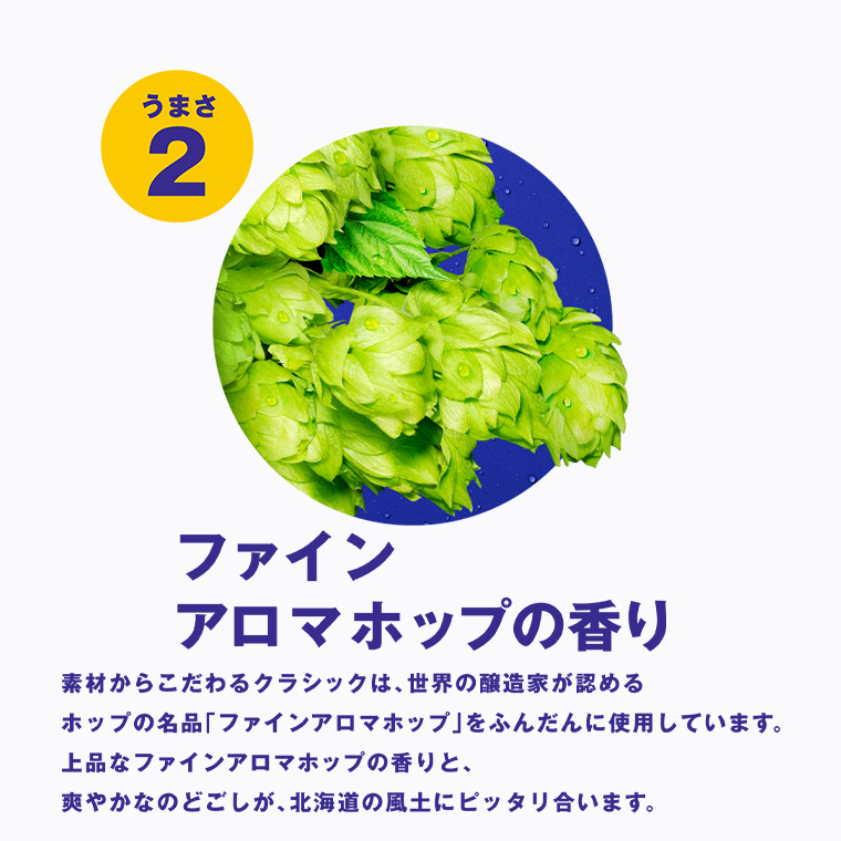 サッポロクラシック 500ml 48 本入り 2ケース / ギフト ビール 北海道