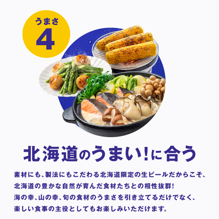 サッポロクラシック 500ml 48 本入り 2ケース / ギフト ビール 北海道