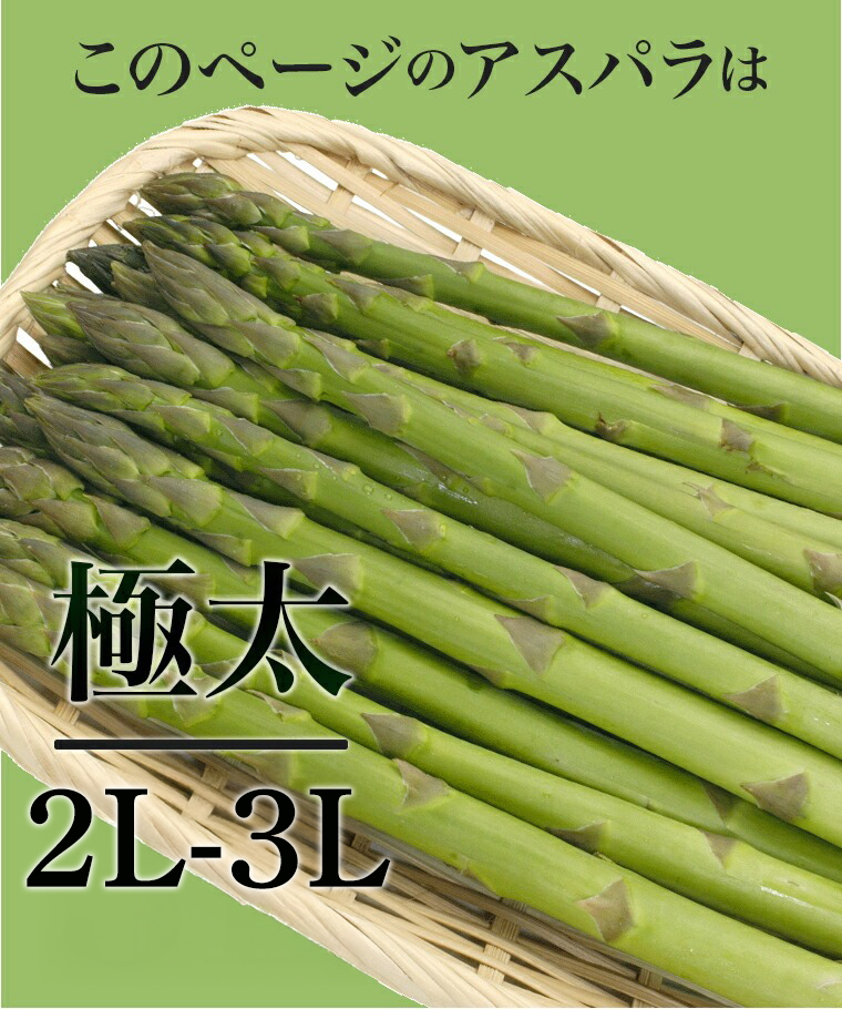 北海道産 アスパラガス グリーンアスパラガス 1kg 2L-3Lサイズ / 旬
