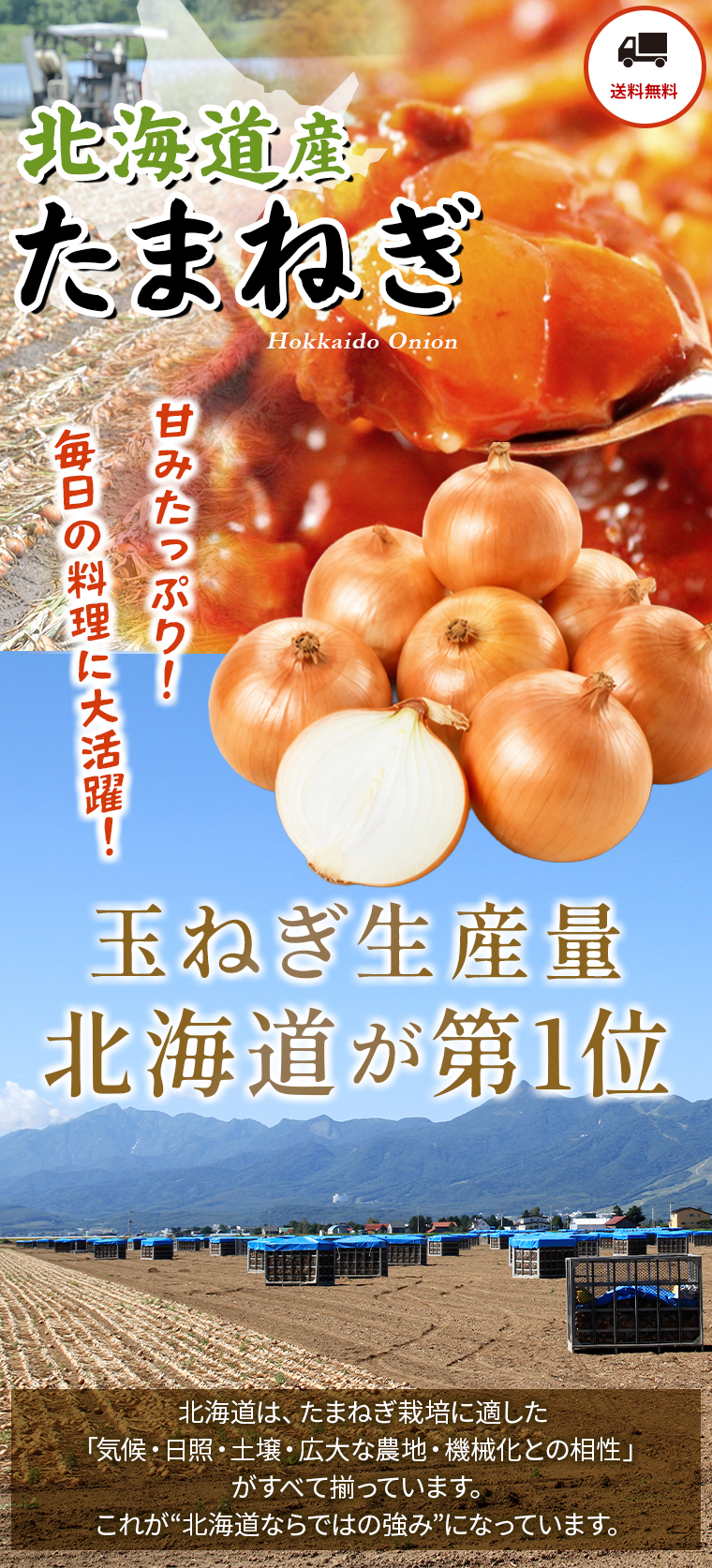 北海道産玉ねぎ