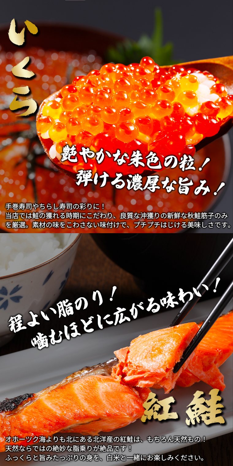 爆買 海鮮セット 北海道 お取り寄せ 特撰 潮彩(しおさい)(5品セット