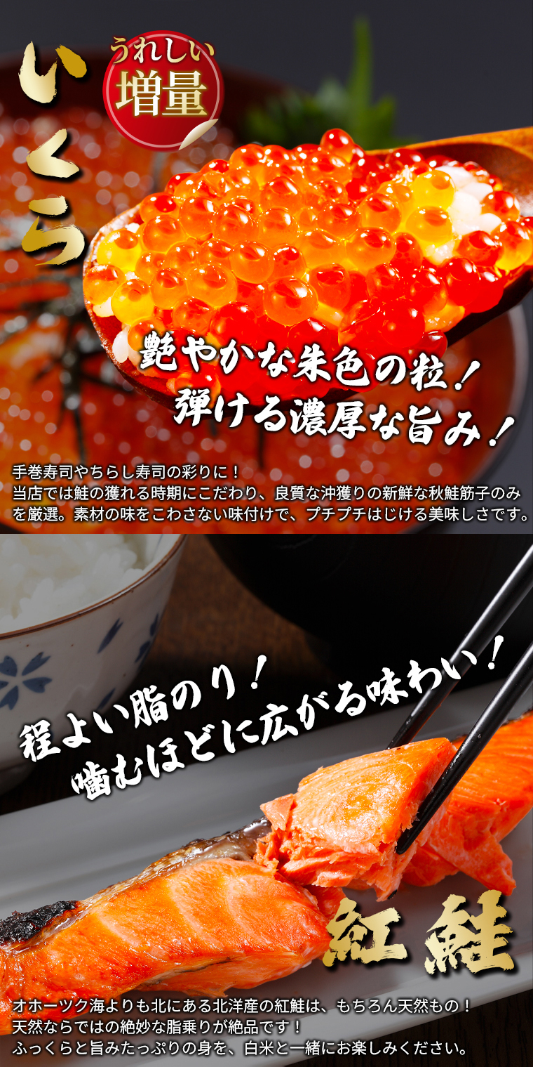 海鮮セット 北海道 お取り寄せ 特選 H / ズワイガニ 海鮮 人気 セット