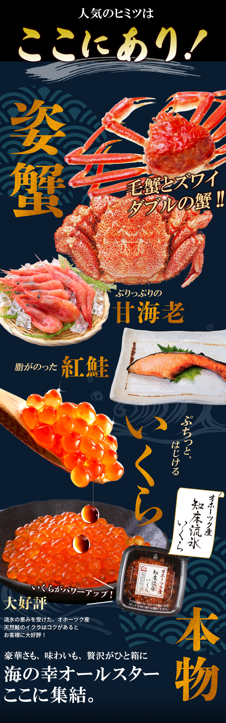 海鮮セット 北海道 お取り寄せ 特撰 潮彩(しおさい)(5品セット