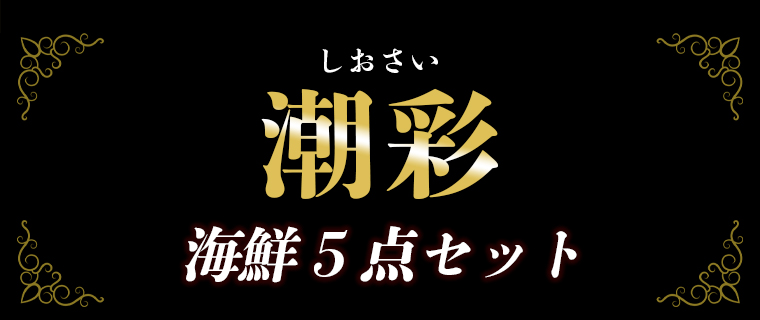潮彩5点セット