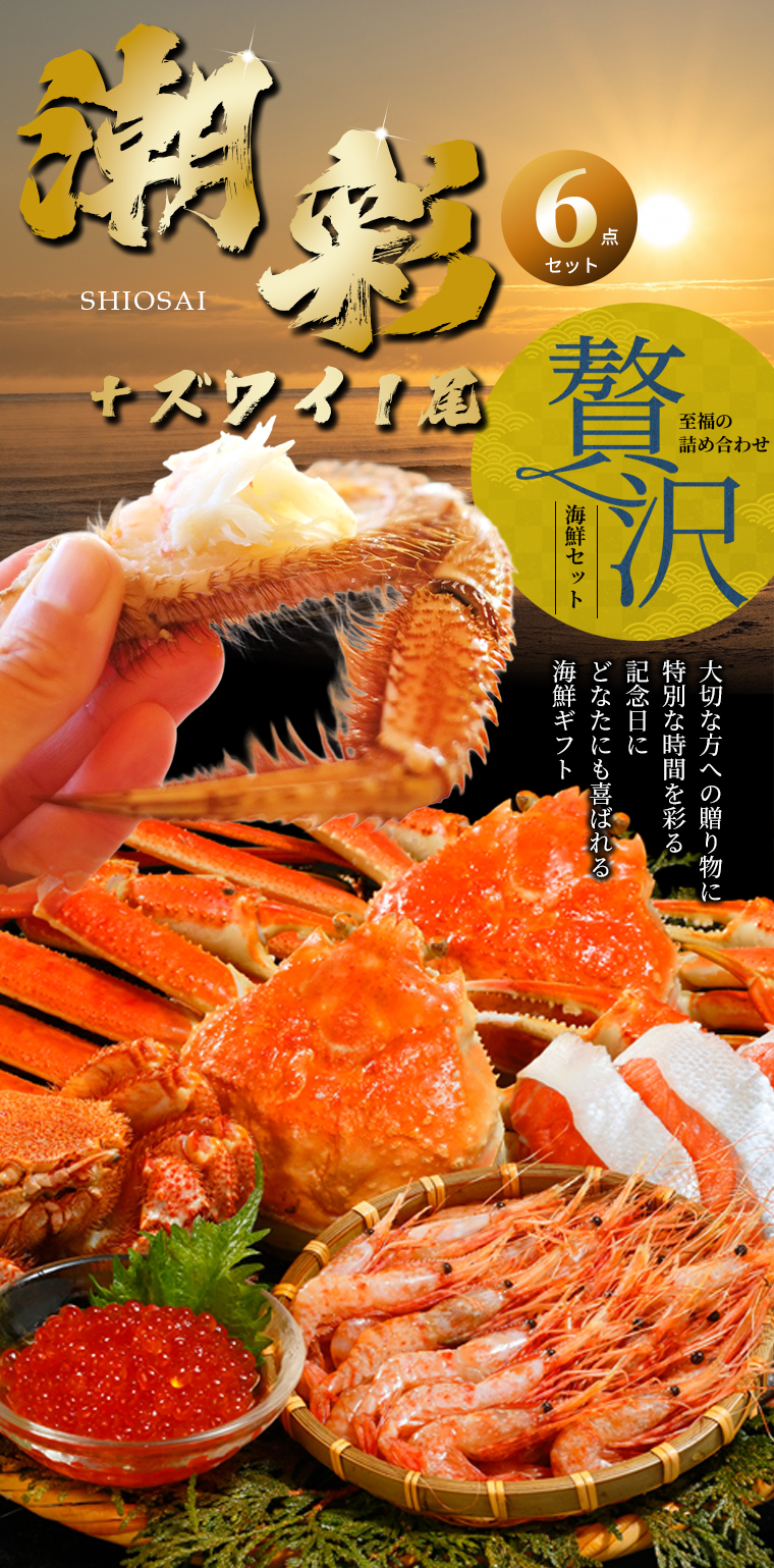 お歳暮 海鮮セット 北海道 特撰 E / 御歳暮 冬ギフト 2026 ズワイガニ