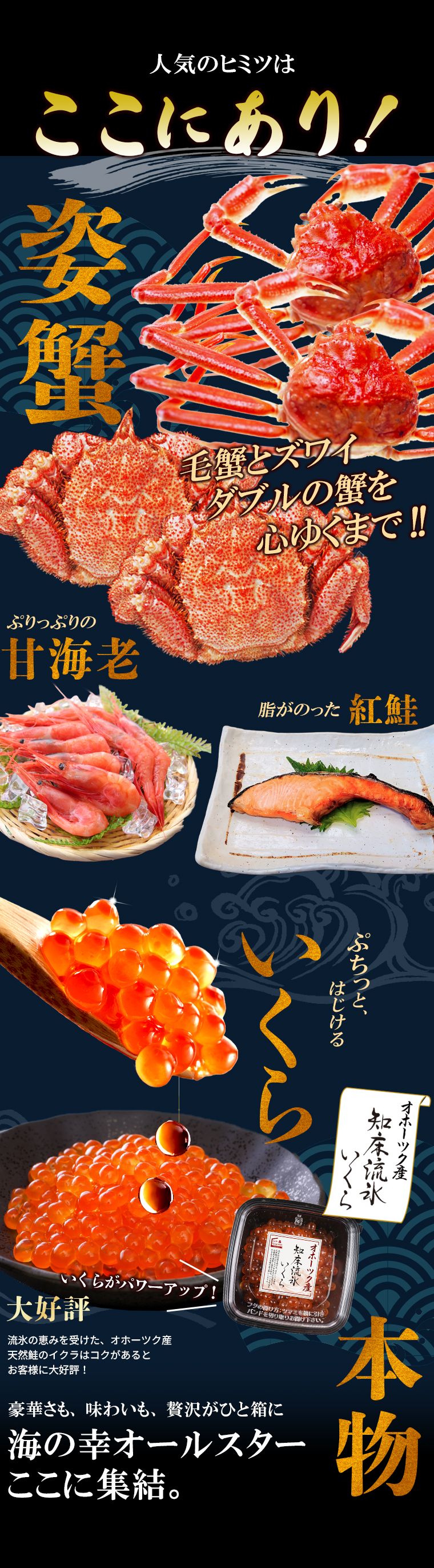 海鮮セット 北海道 お取り寄せ 金撰 舌鼓(したつづみ)(7品セット