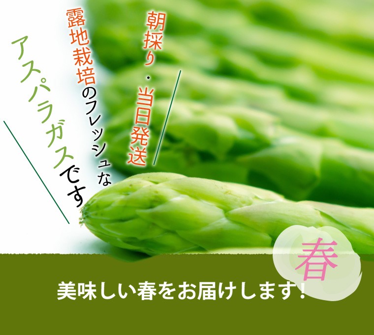 朝採りで当日発送、日時指定可