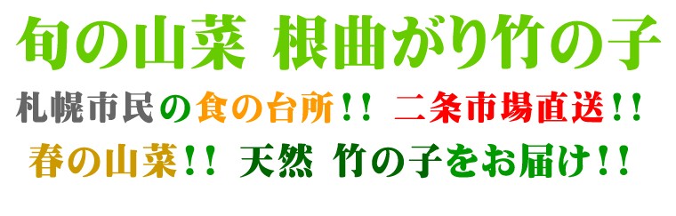 北海道産 天然 竹の子