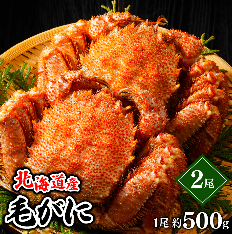 北海道産 毛ガニ/毛蟹