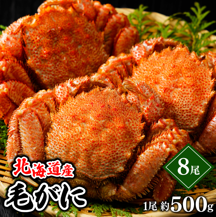 北海道産 毛ガニ/毛蟹