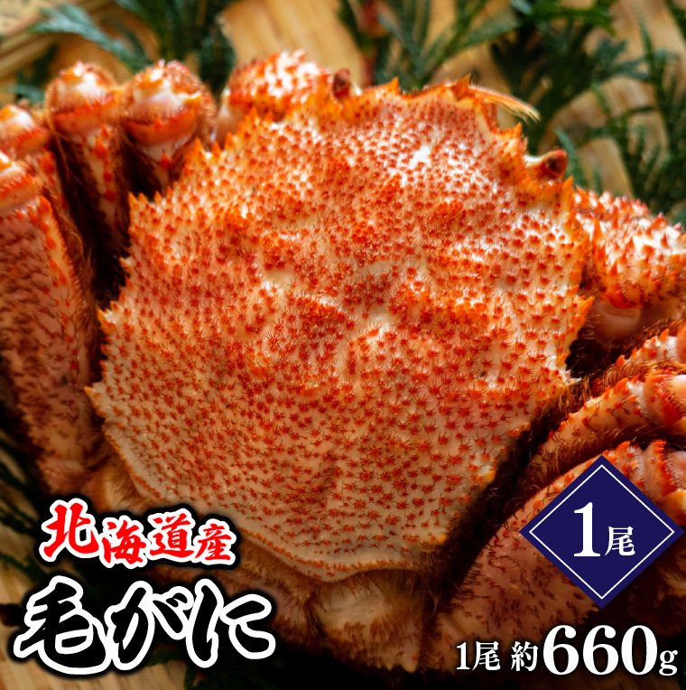 北海道産 毛ガニ/毛蟹