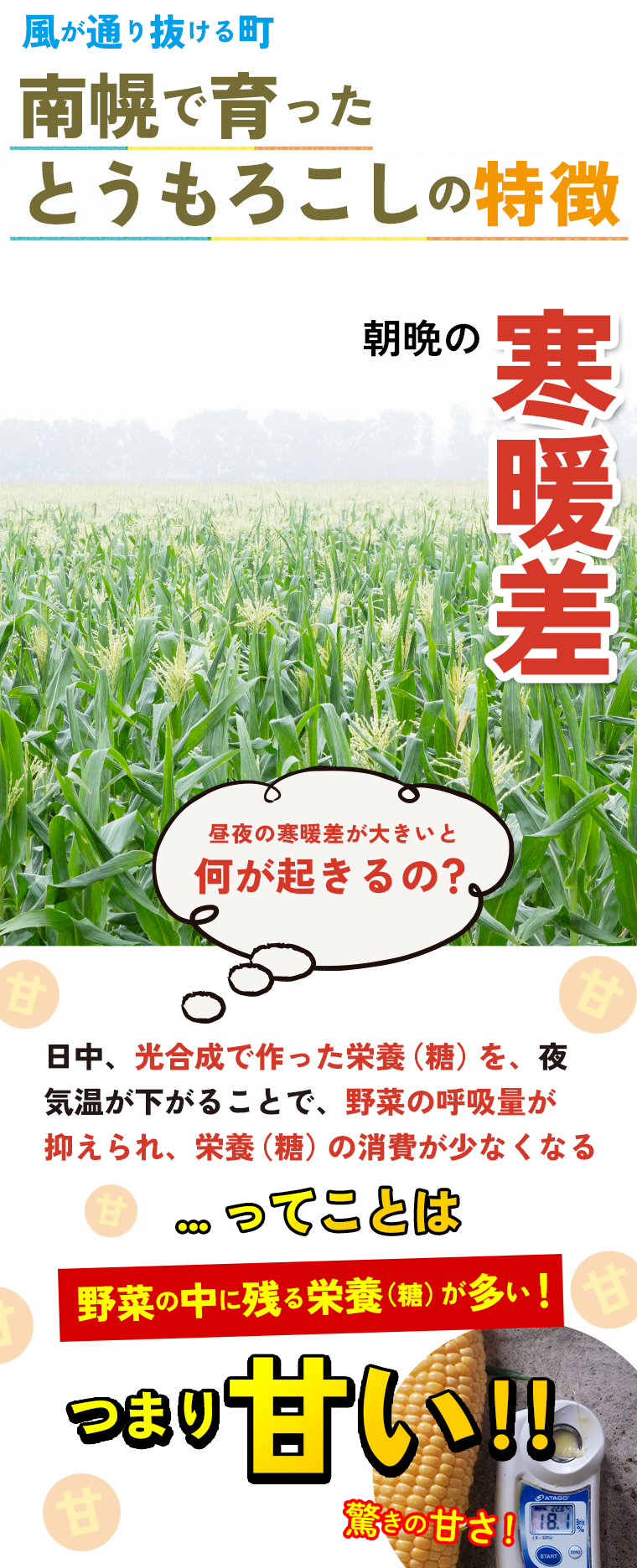 理由