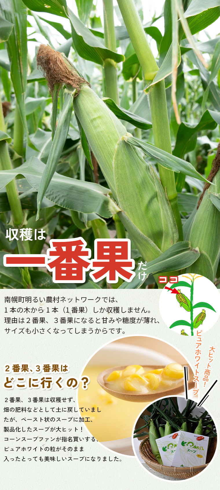 理由