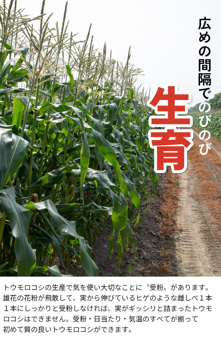 理由