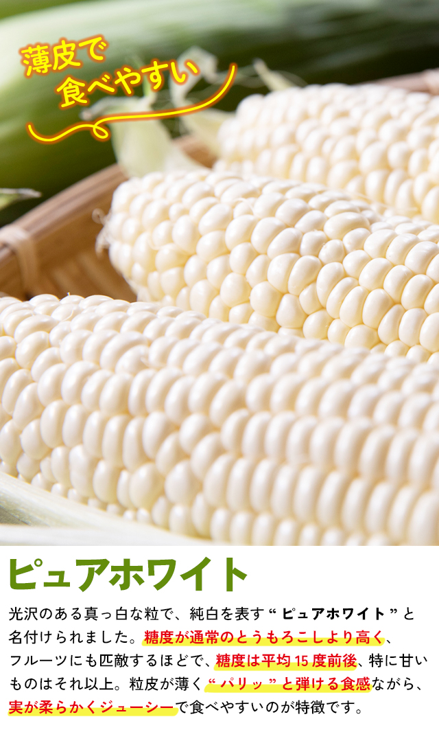 ホワイト