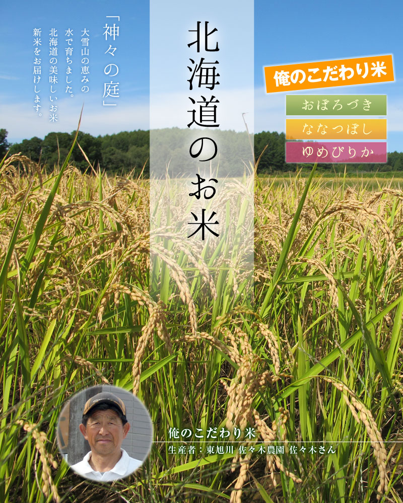 2025年度産 ゆめぴりか 10kg 米 北海道米 お米 北海道ギフト : 北海道
