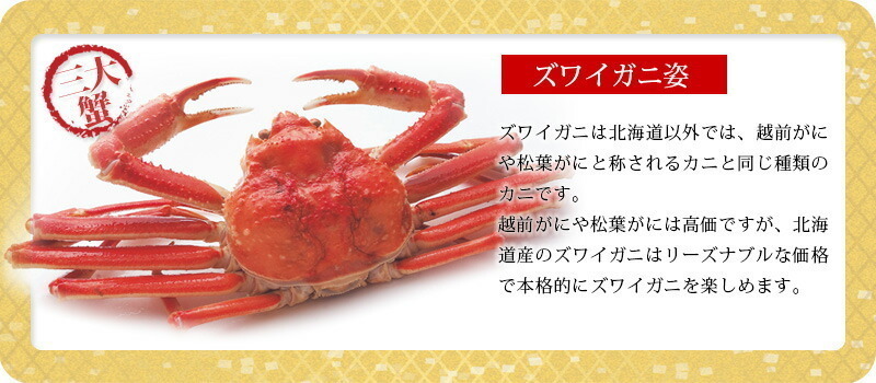 豪華海鮮福袋A「ズワイガニ」