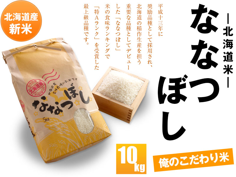 ななつぼし 10kg 米 北海道米 お米 内祝 北海道産 内祝 お歳暮 御祝