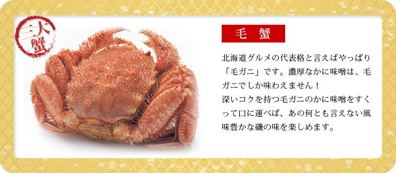 豪華海鮮福袋A「毛ガニ」