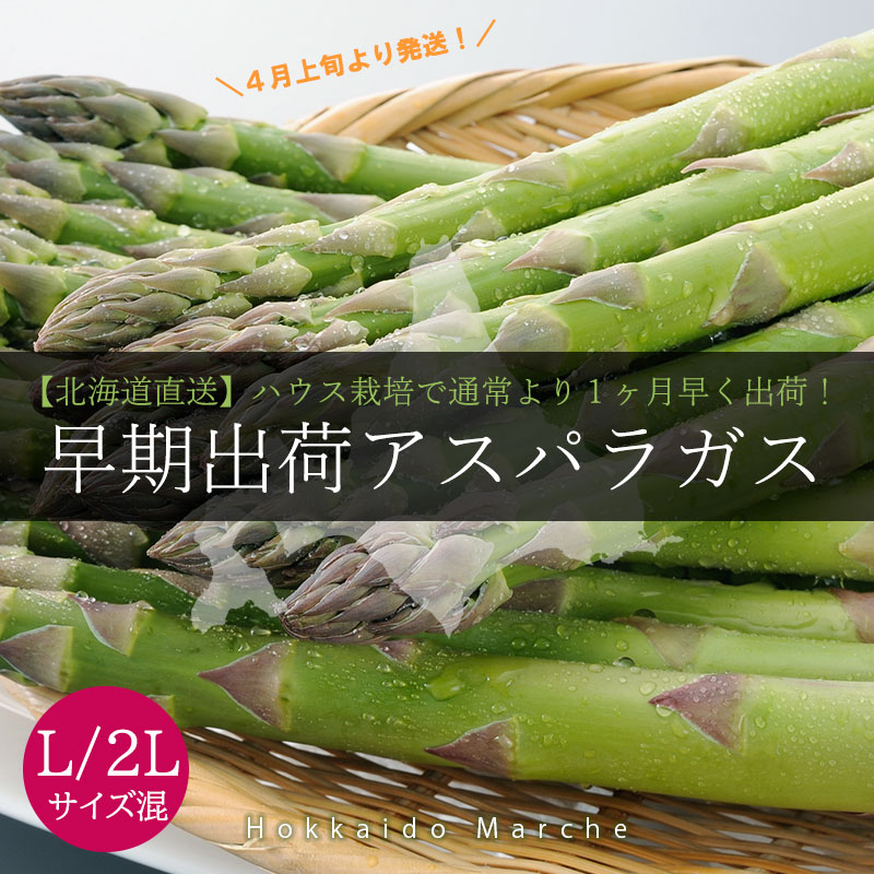 北海道直送早期出荷アスパラガス