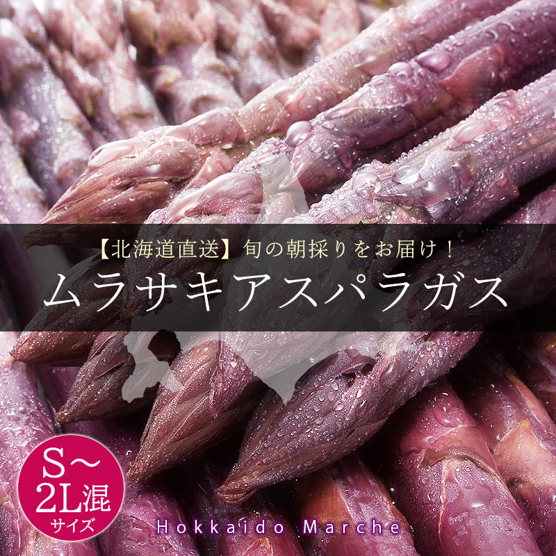 北海道直送紫アスパラガス