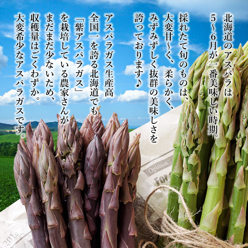 北海道直送紫アスパラガス