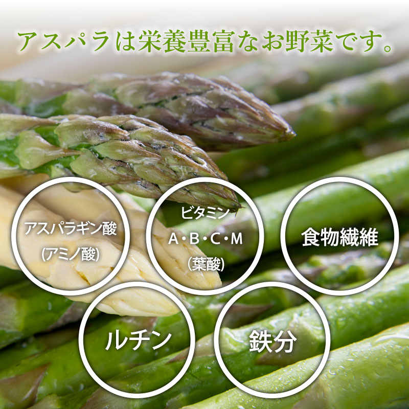 栄養豊富