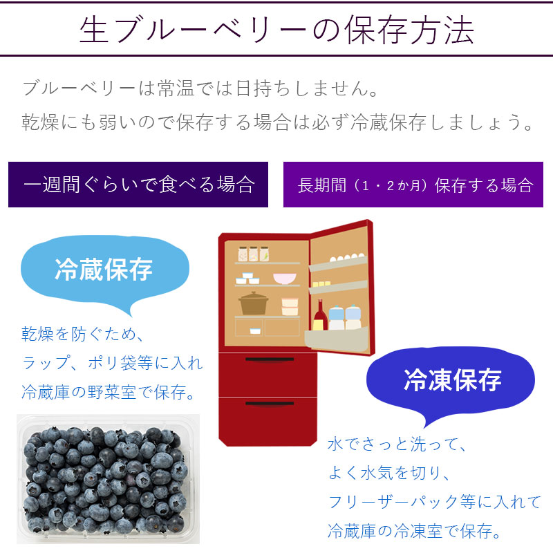 北海道産ブルーベリー保存方法
