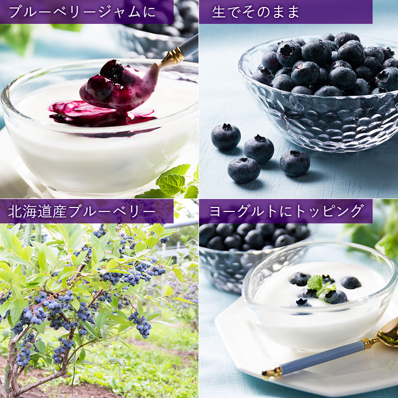 北海道産ブルーベリーイメージ