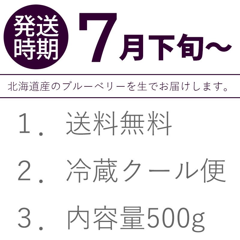北海道産ブルーベリー発送時期
