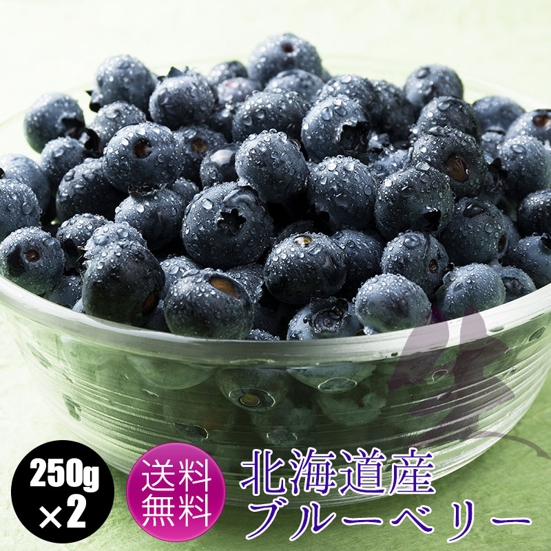 北海道産ブルーベリーイメージ