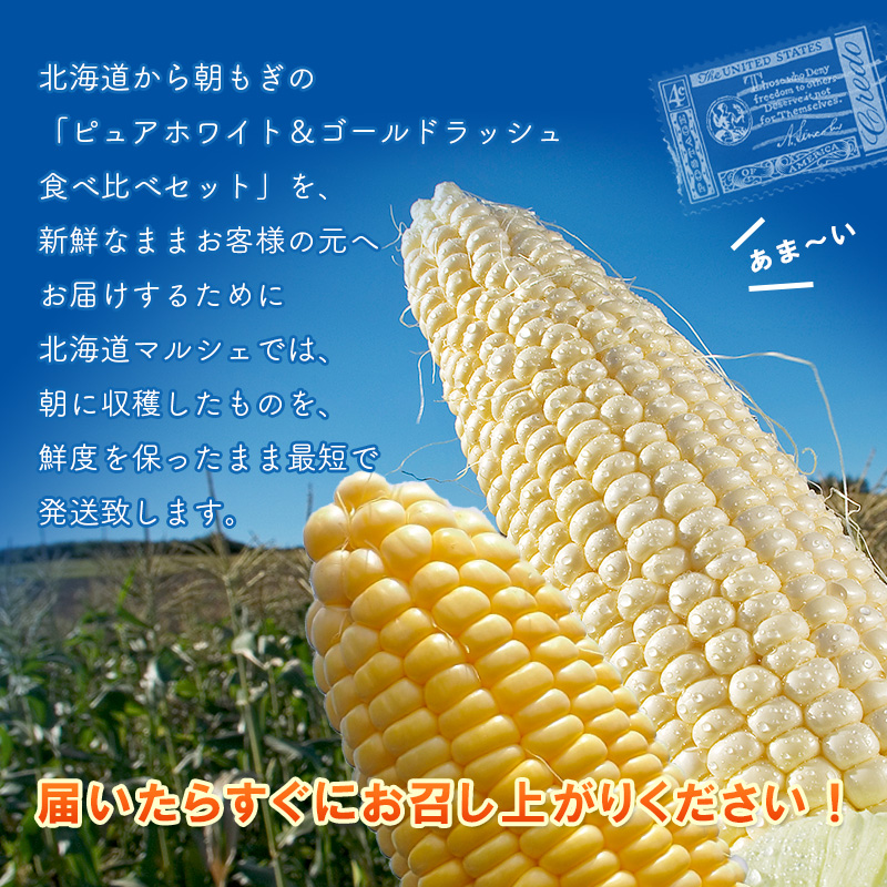 ピュアホワイト＋ゴールドラッシュ