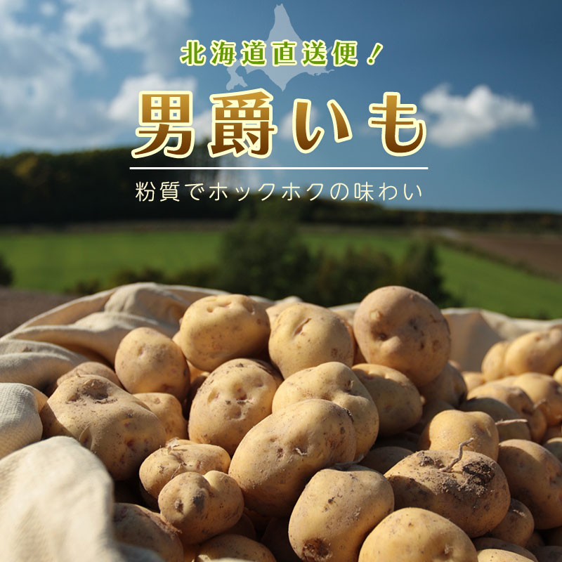 北海道直送「男爵いも」